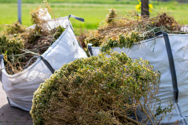 Best Electronics Removal Services  in Braska City, NE