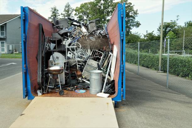 Best Professional Junk Removal  in Braska City, NE